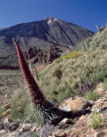 teide