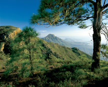 Tenerife mountains